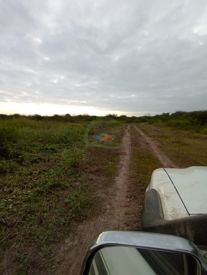 1125 ha Subdividido en tres fracciones mixto - Tucuman