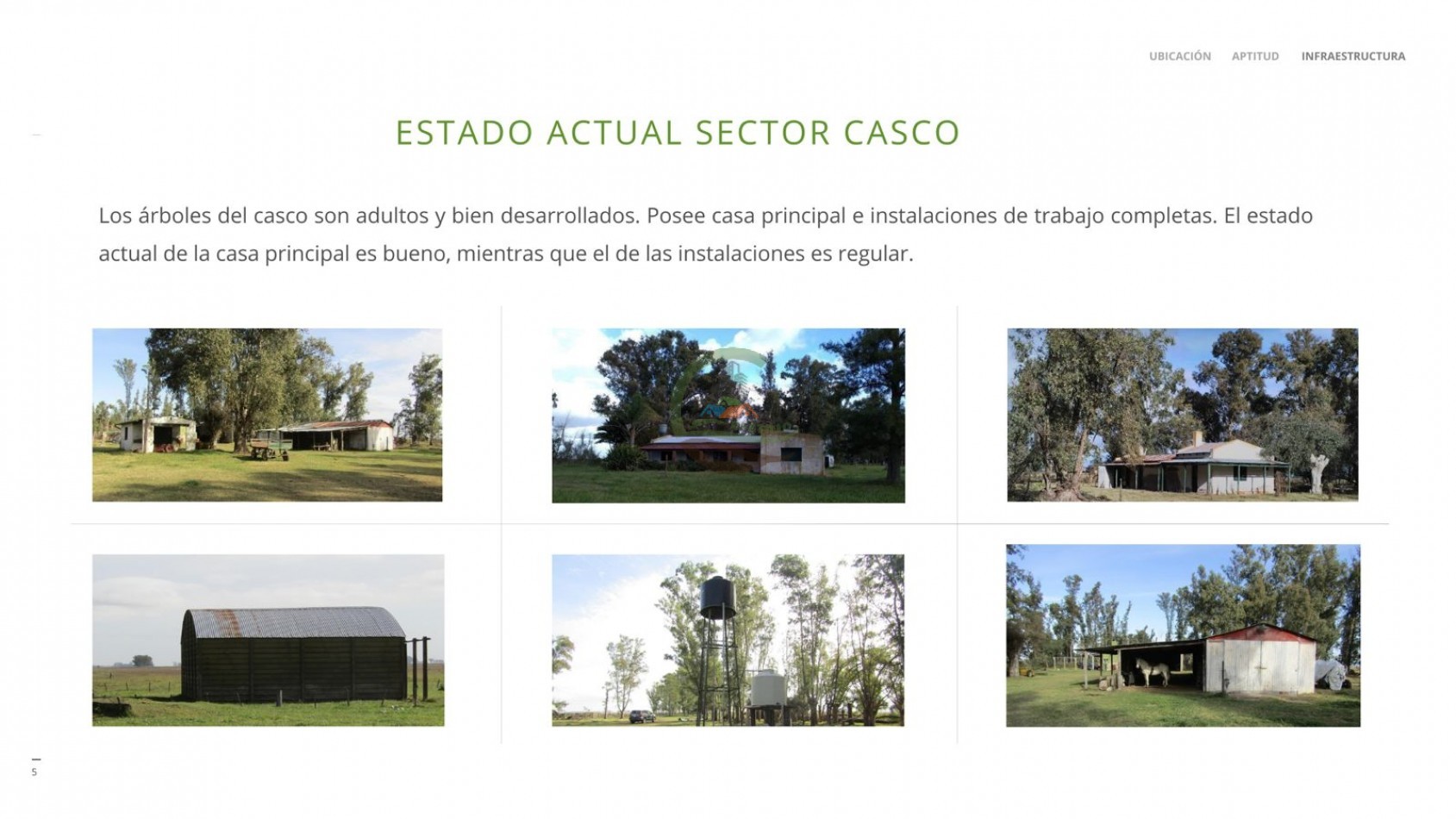 1184 ha Ganadero - Las Flores