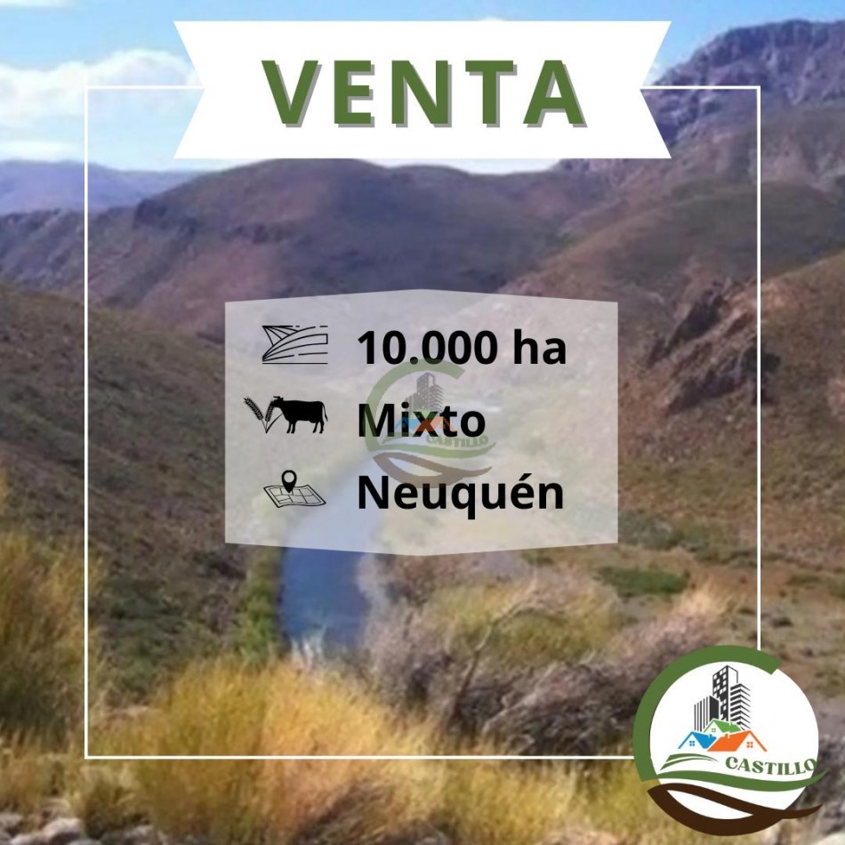 10000 ha mixto - Neuquen