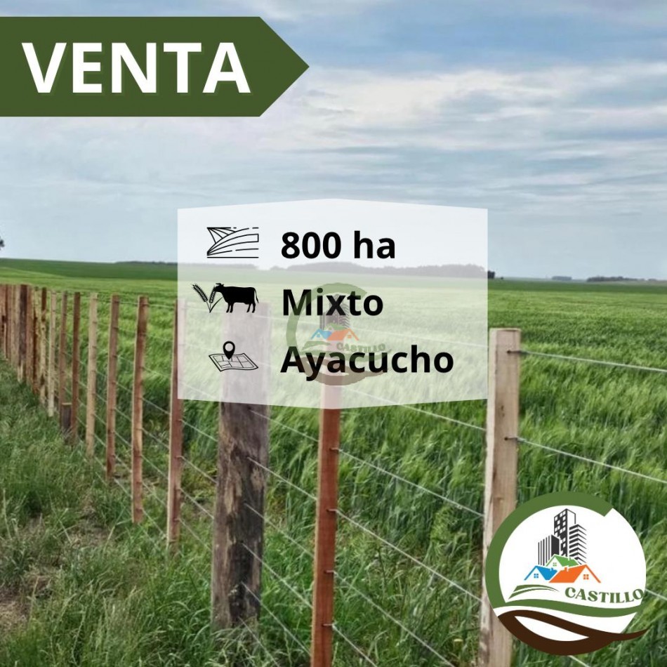 828 ha Mixto - Ayacucho