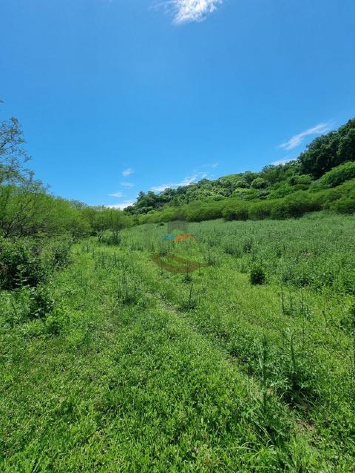 6000 Ha Mixtas - Anta - Salta