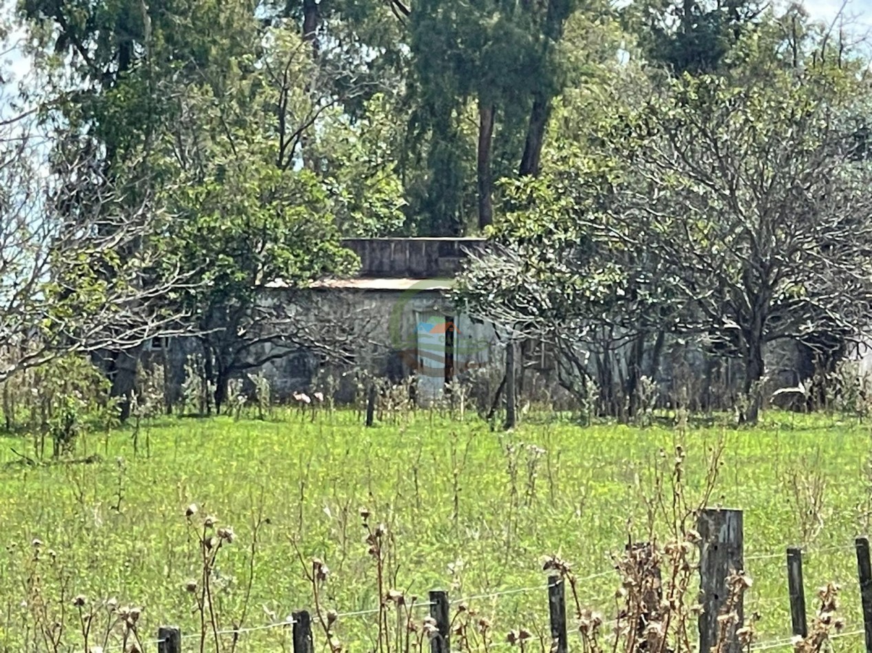 106 ha ganadero - gral alvear