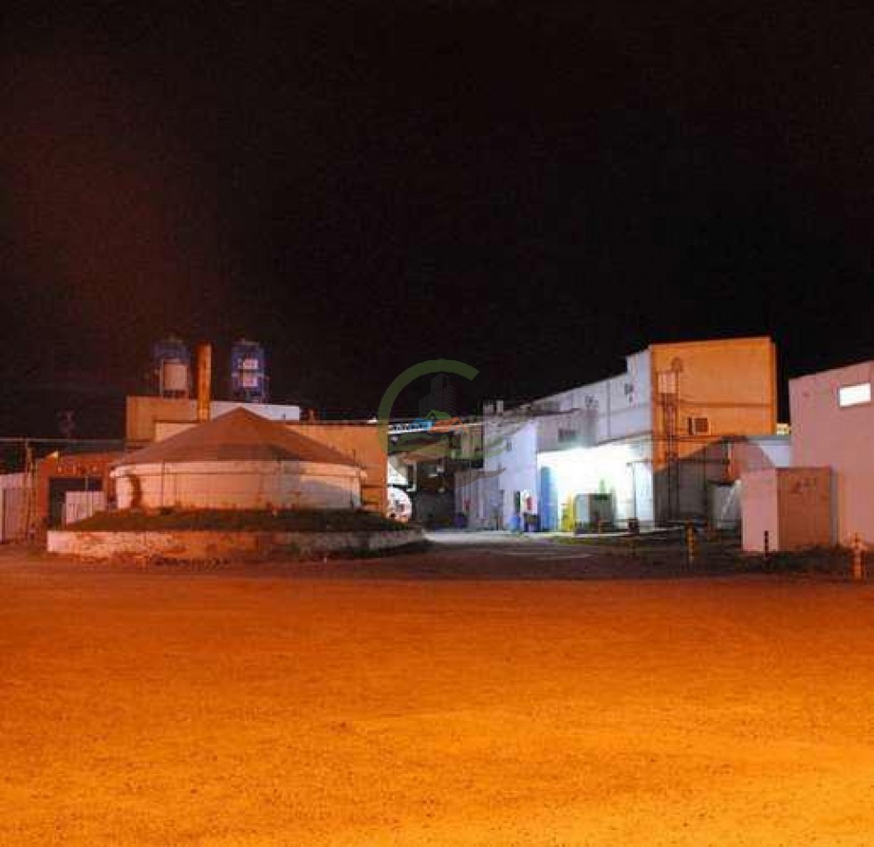 Frigorifico - con feedlot- Exportadora - La Adela - La Pampa