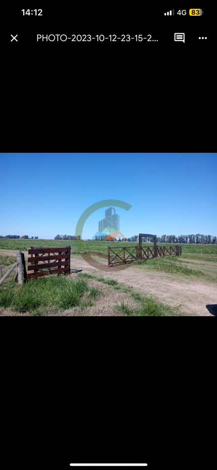 81 ha Mixto - Alvear