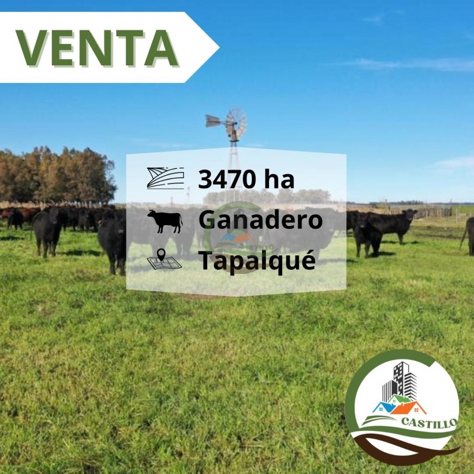 3485 ha Ganadero - Tapalque
