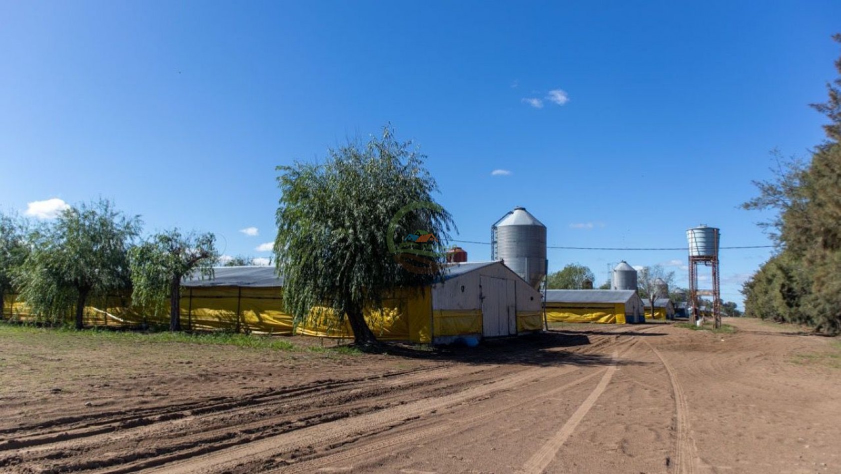 Granja Avicola 