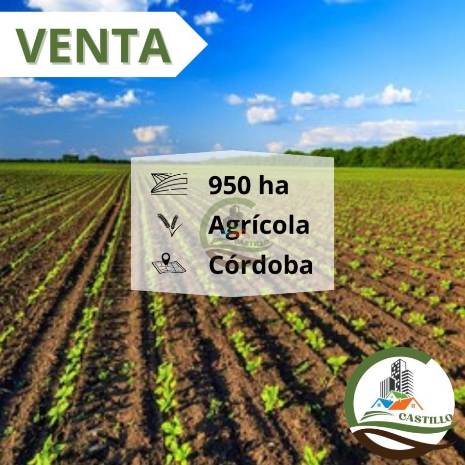 950 Ha Agricolas - Monte Cristo - Cordoba 