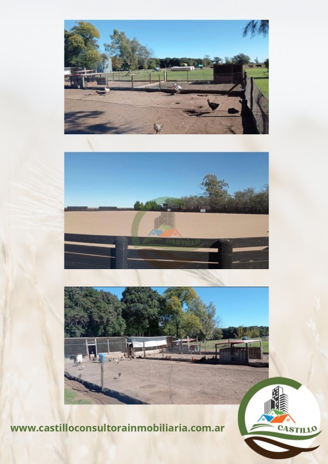 1227 ha Agricolas - villegas