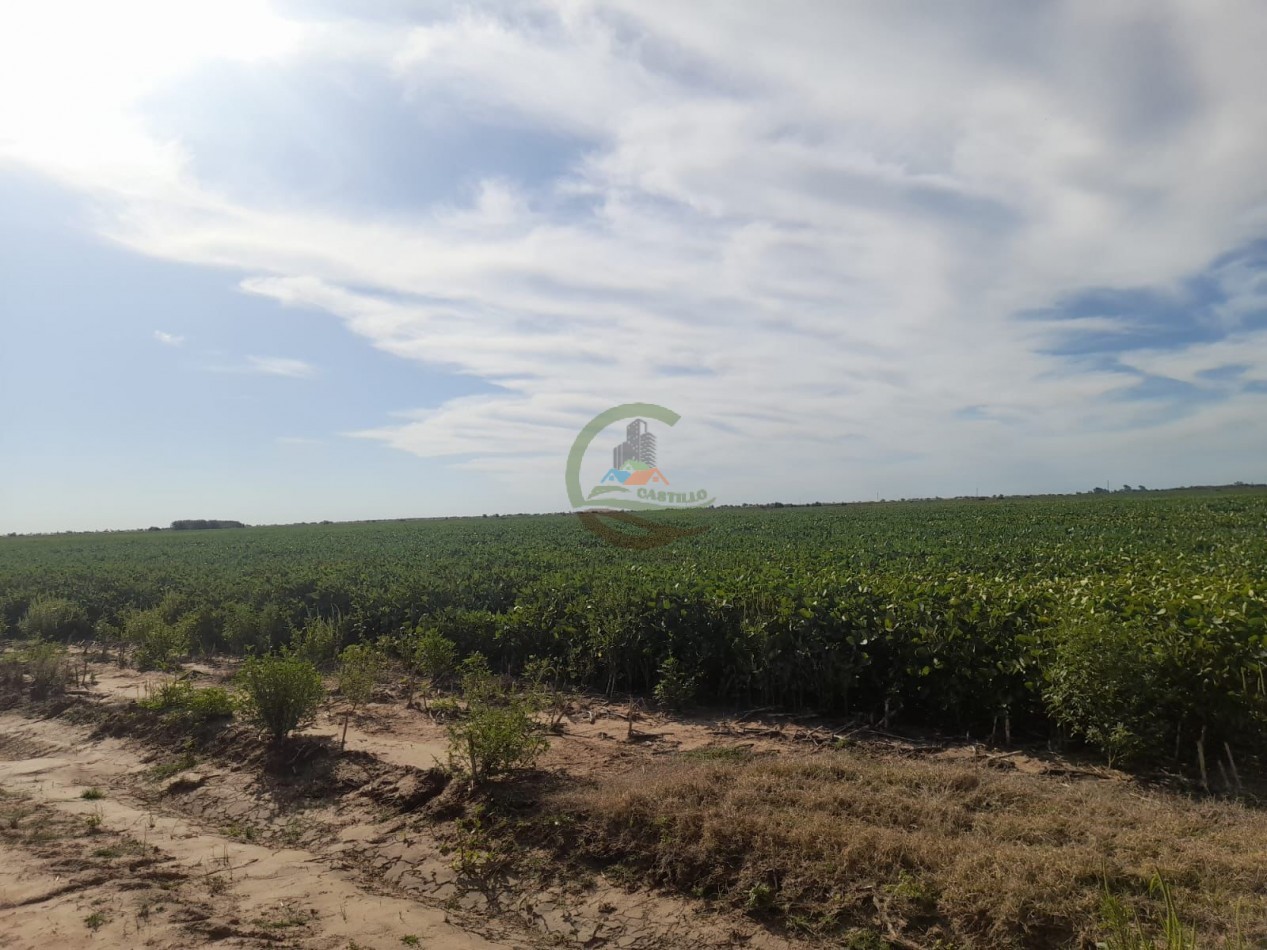 2200 Ha Agricolas - Laboulaye - Cordoba