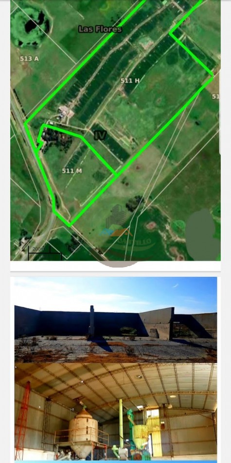 109 ha Feed Lot - Las Flores