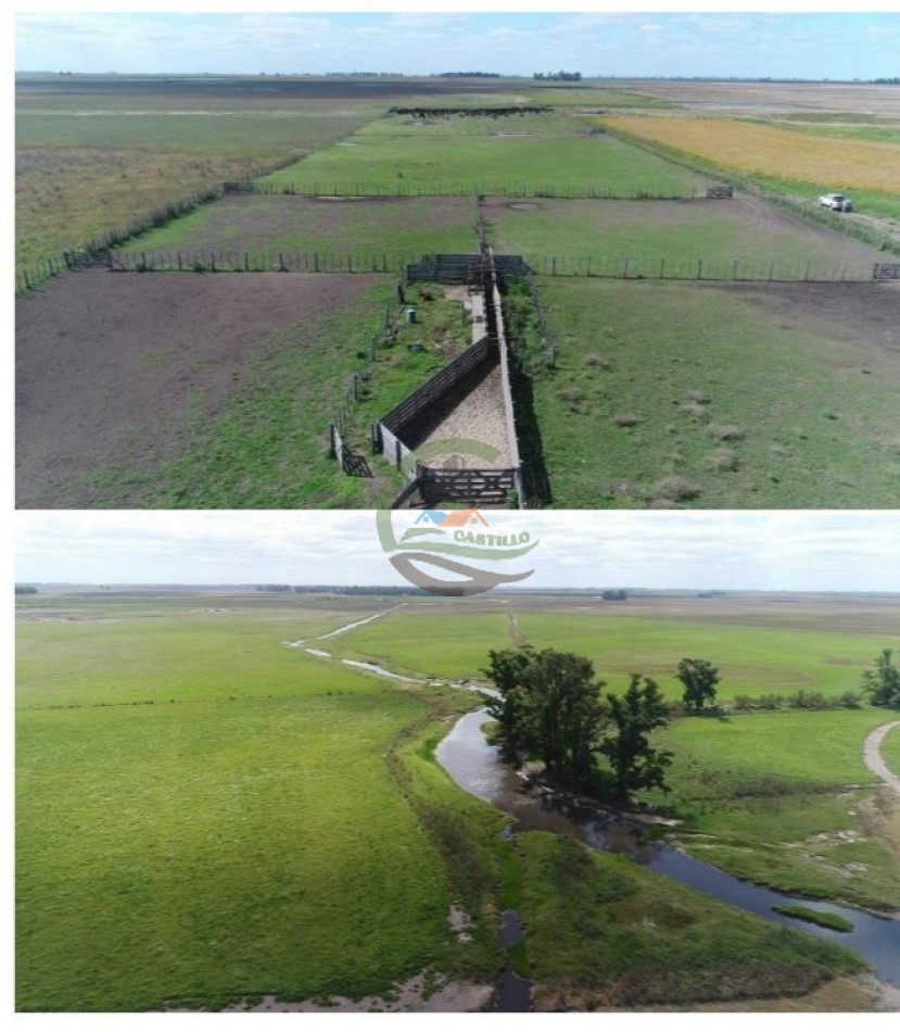 5382,89 Ha Mixtas - Tapalque