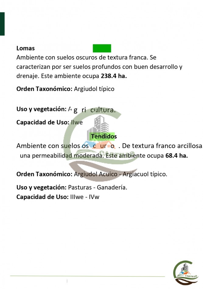 315 ha Mixto - Balcarce