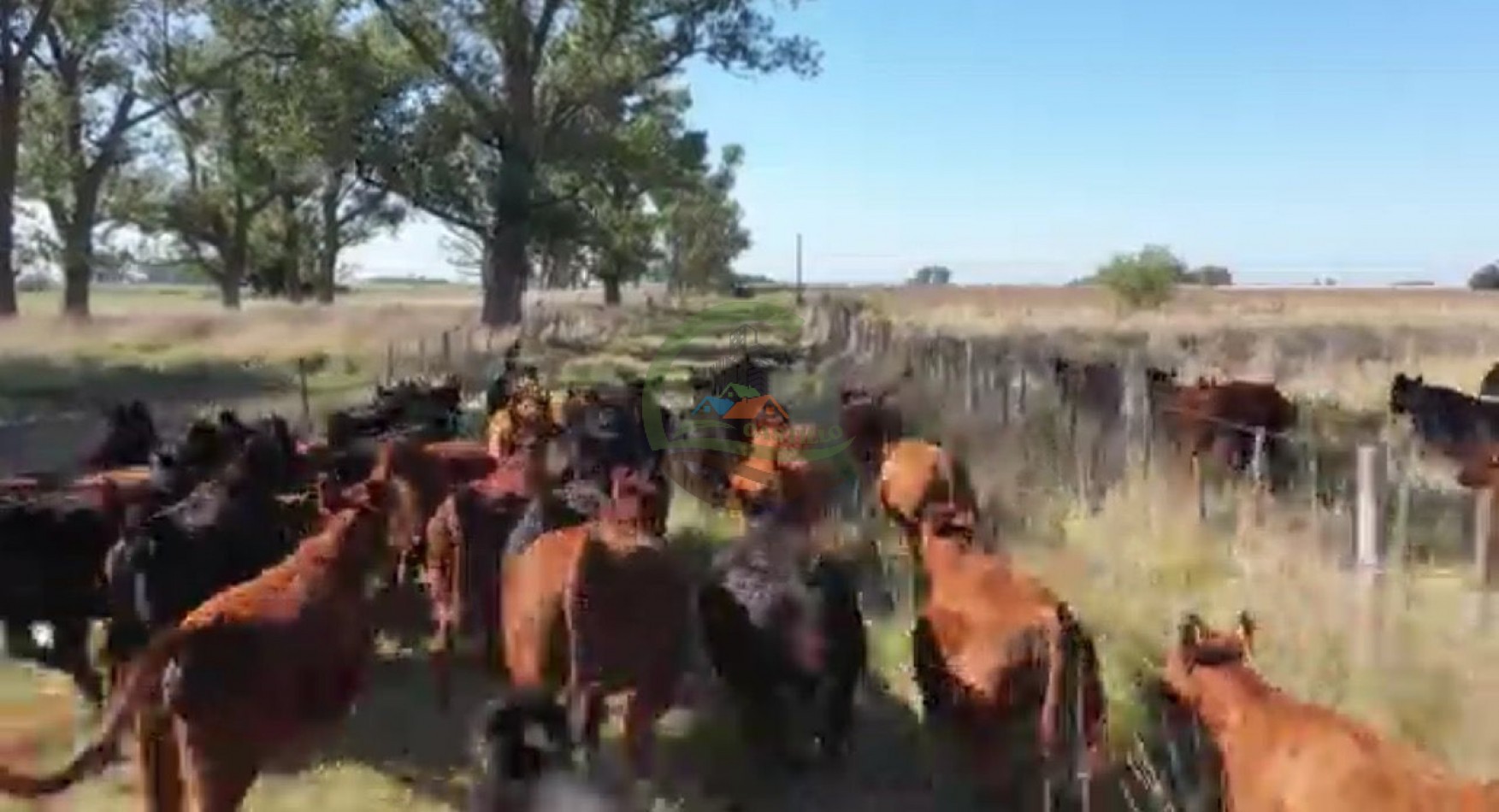 94.5 ha Agricolas - Lobos
