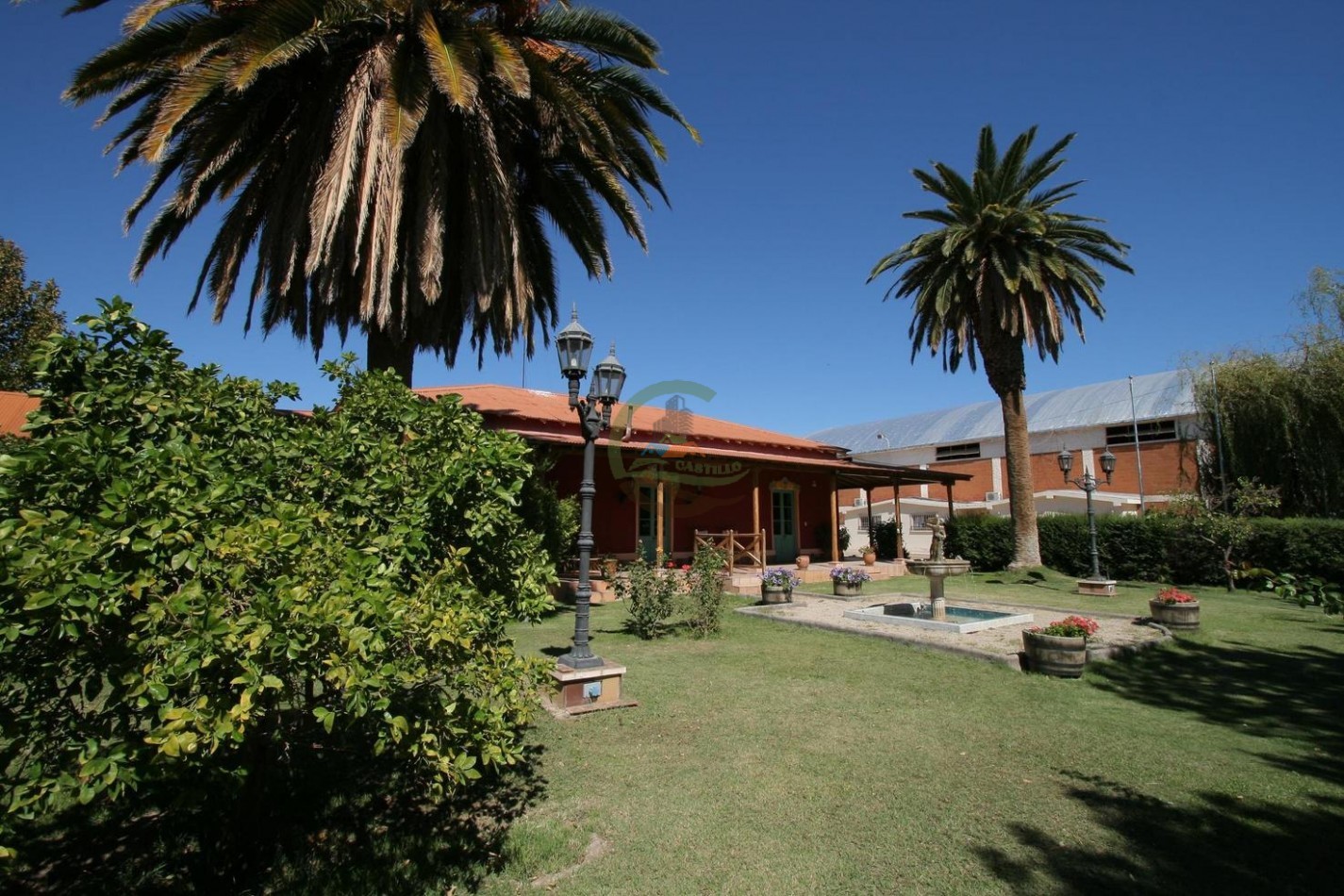 440 ha - Bodega - Mendoza