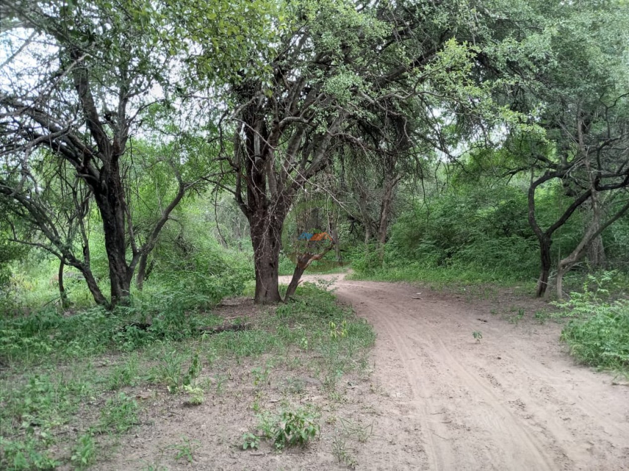 128 Ha - Sumamao - Santiago del Estero