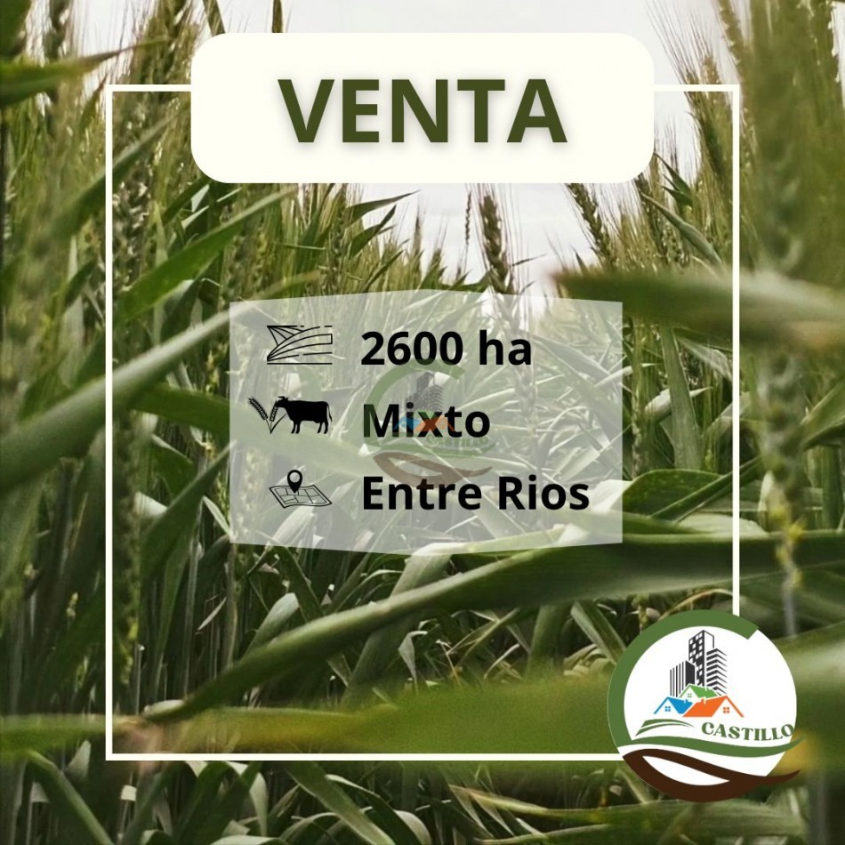2658 ha Mixto - Entre Rios