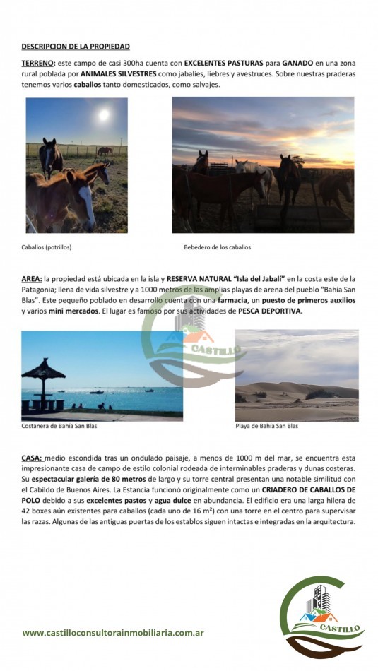 294 ha ganadero - bahia san blas