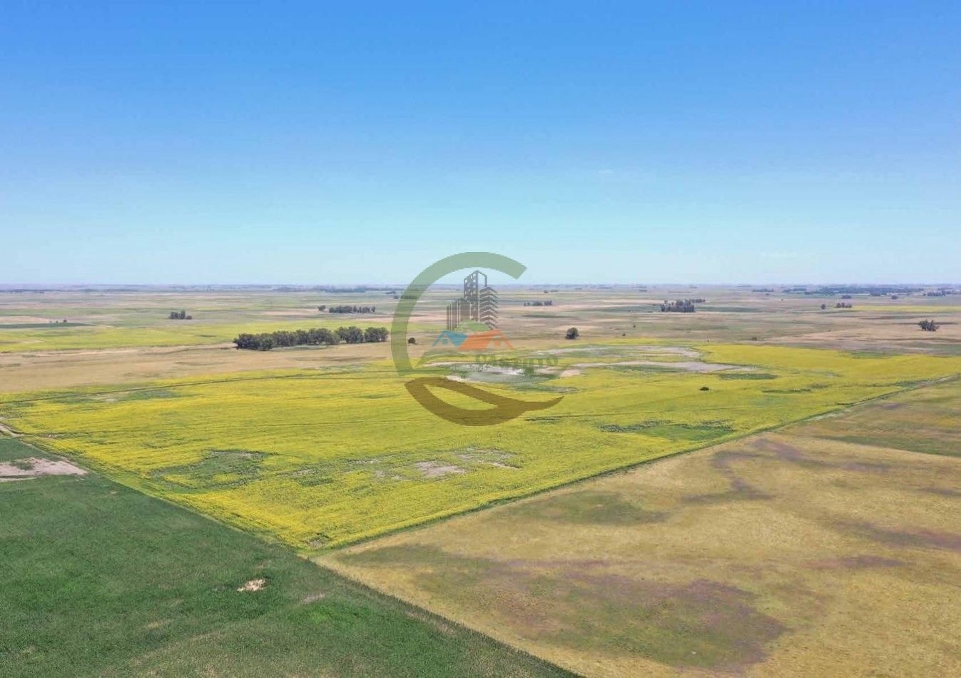 433 ha mixto - Bolivar 