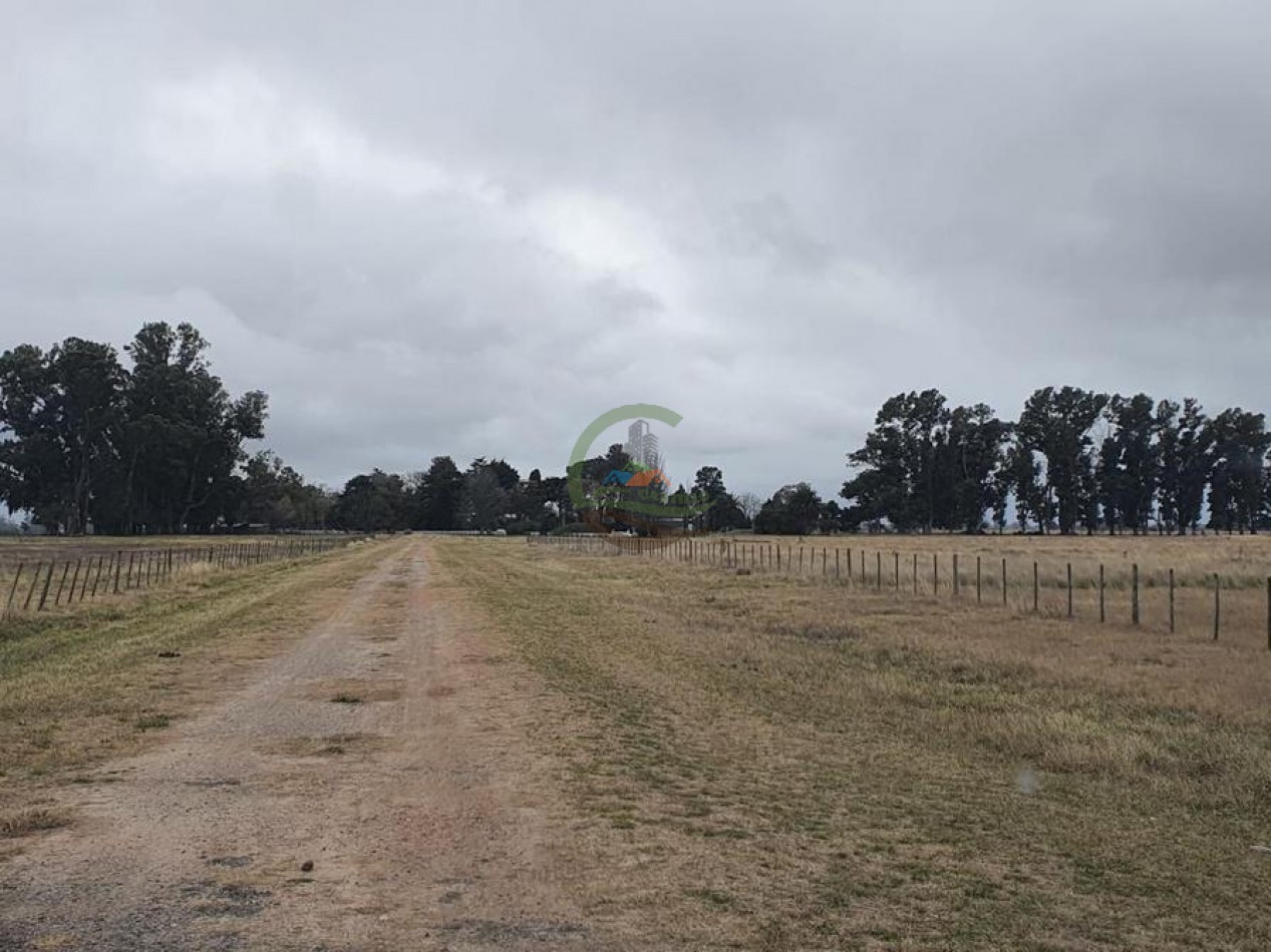 175 Ha Mixtas - Abasto - La Plata