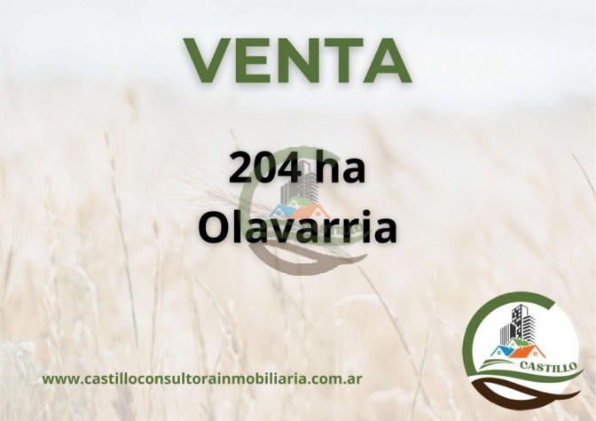 204 ha mixtas - olavarria