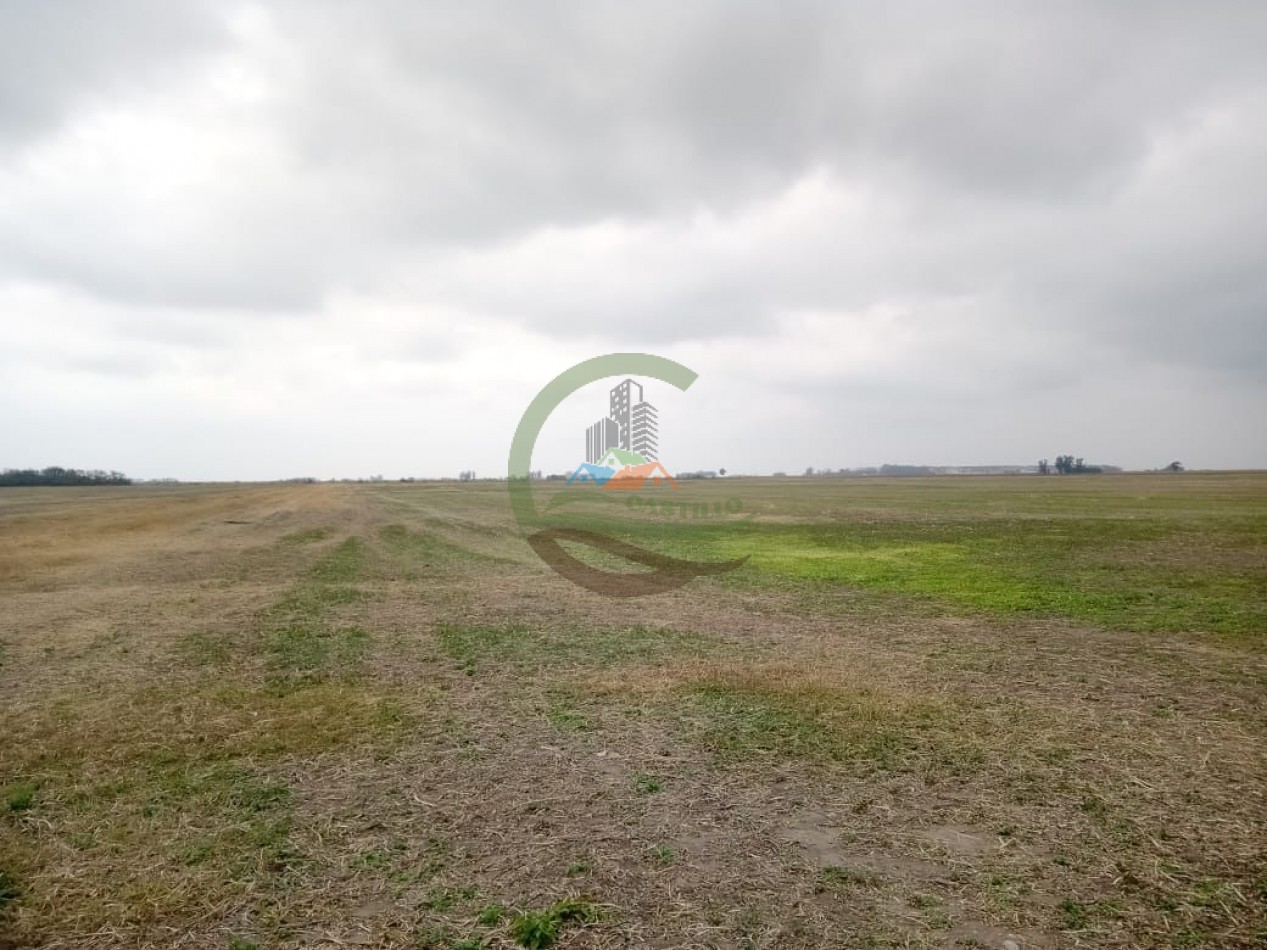 104 ha Agricola - Arequito Sta Fe