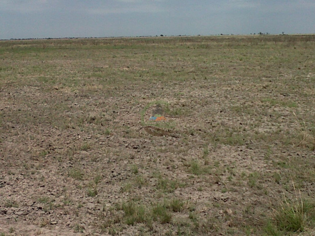 3400 ha ganadera - Santa Fe
