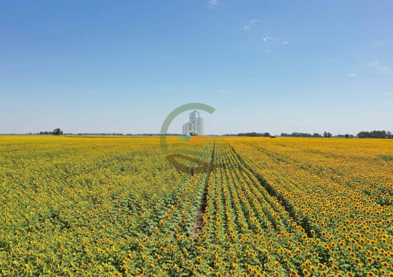 433 ha mixto - Bolivar 