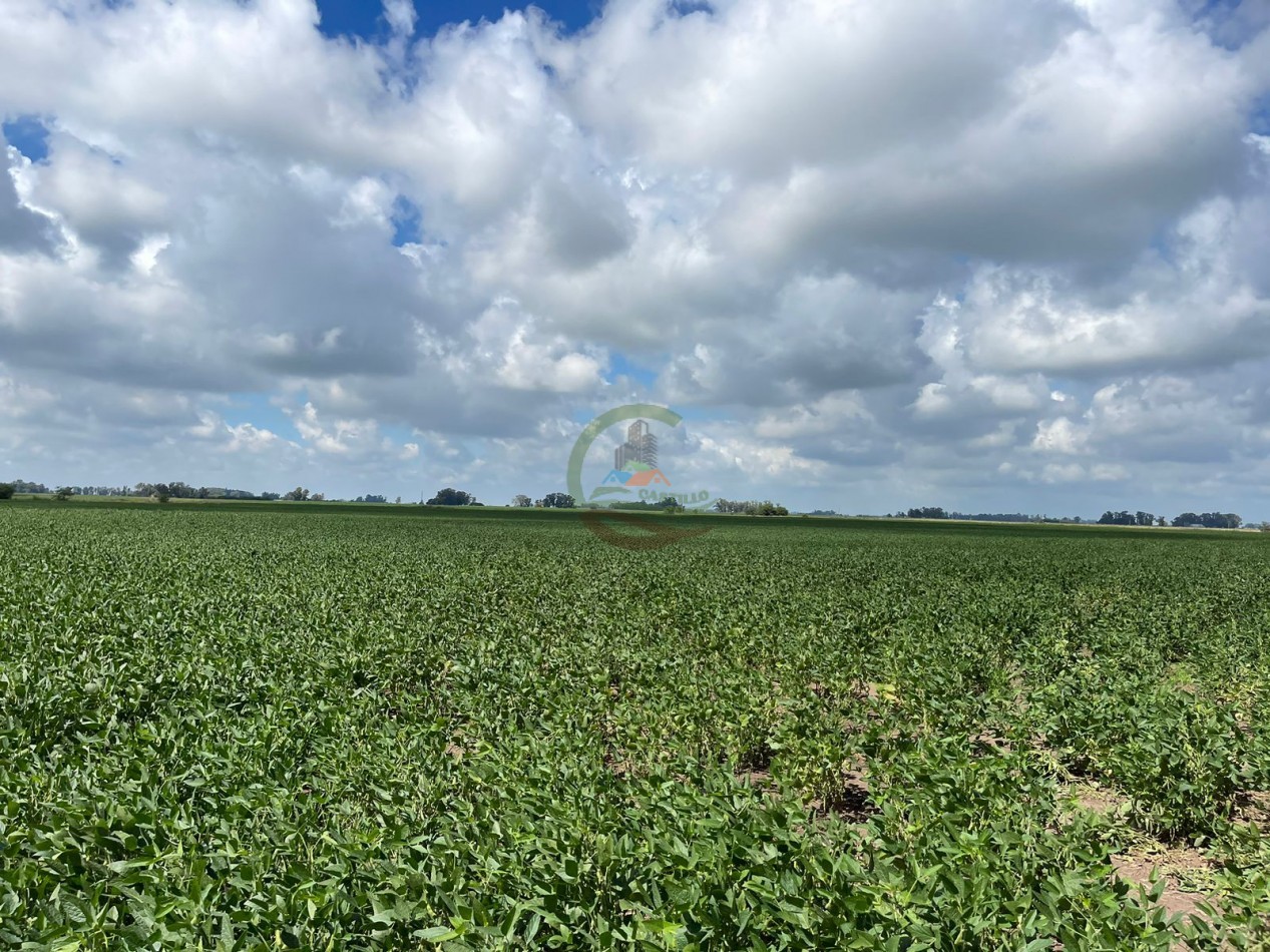 84 ha mixta - Bolivar