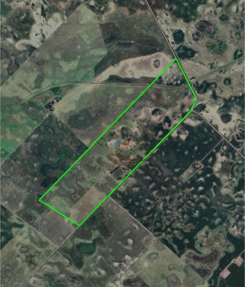 114 Ha Mixto - La Delfina - General Viamonte