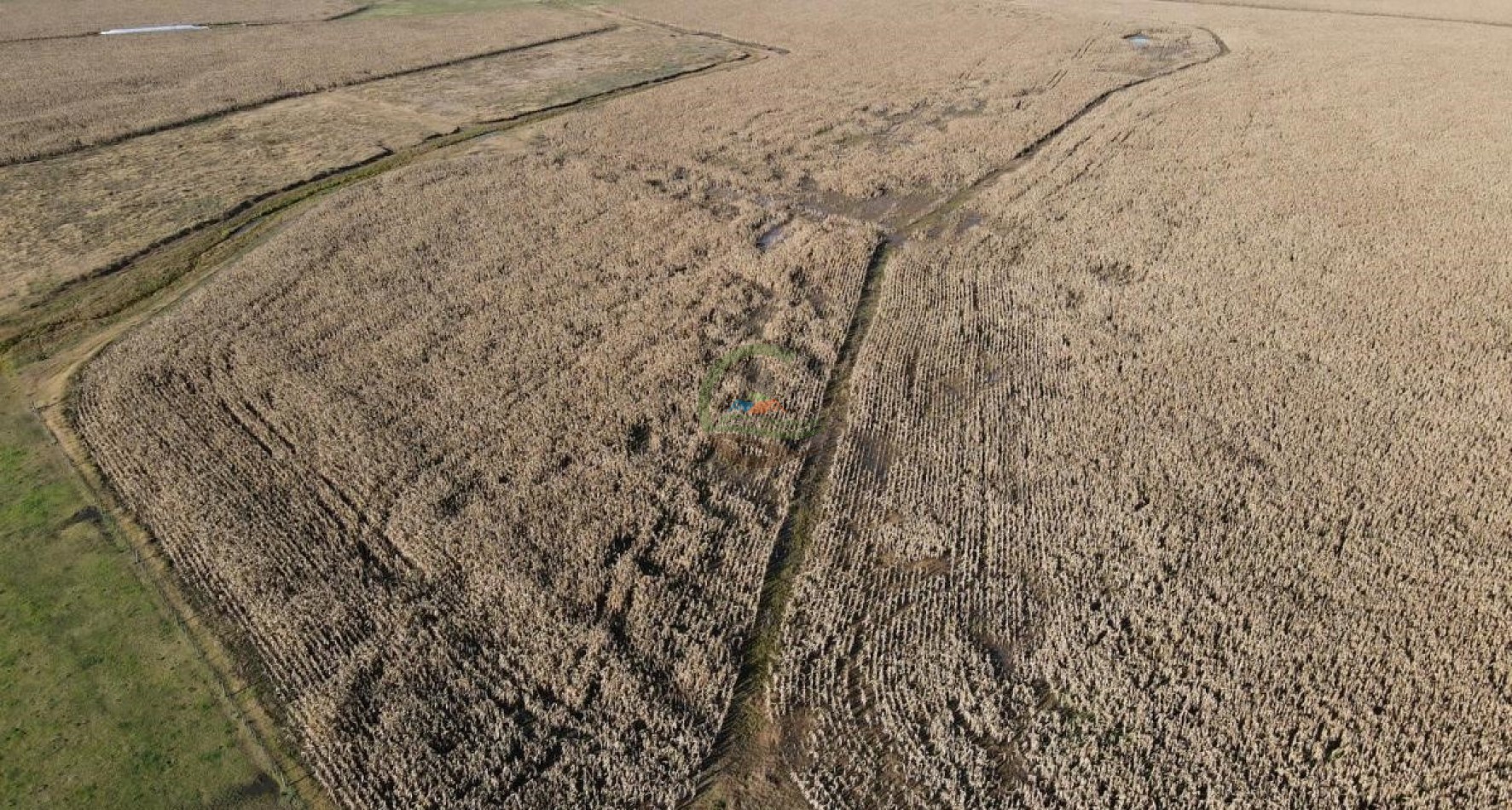 1437 Ha Mixta - Olavarria