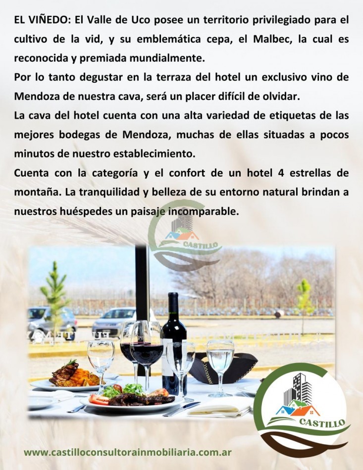 Hotel 4 estrellas y casino - Mendoza - ruta del vino