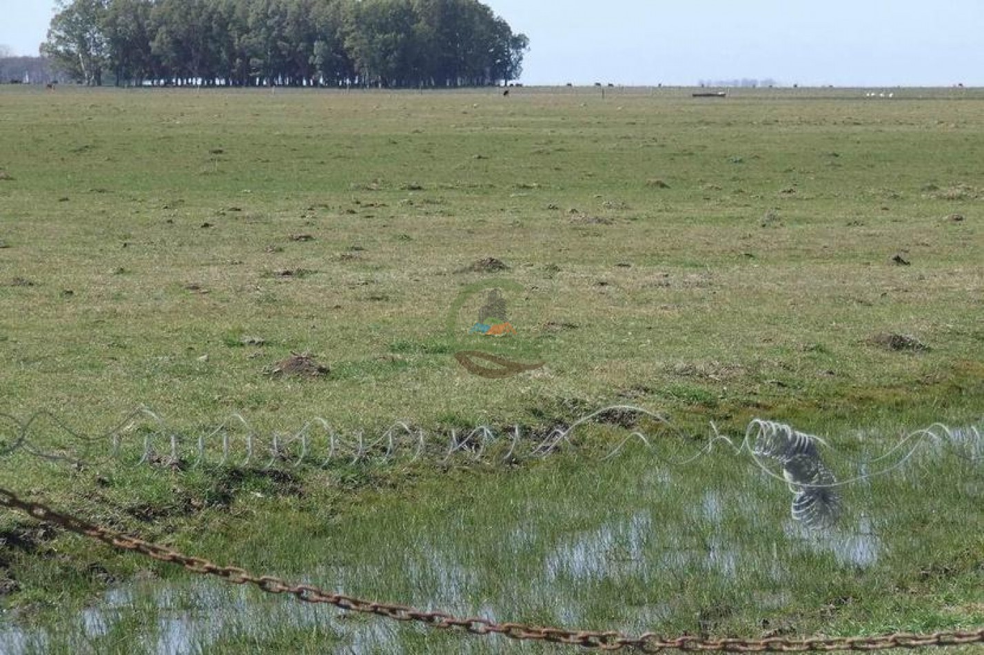 372 Ha Ganadero - Tapalque