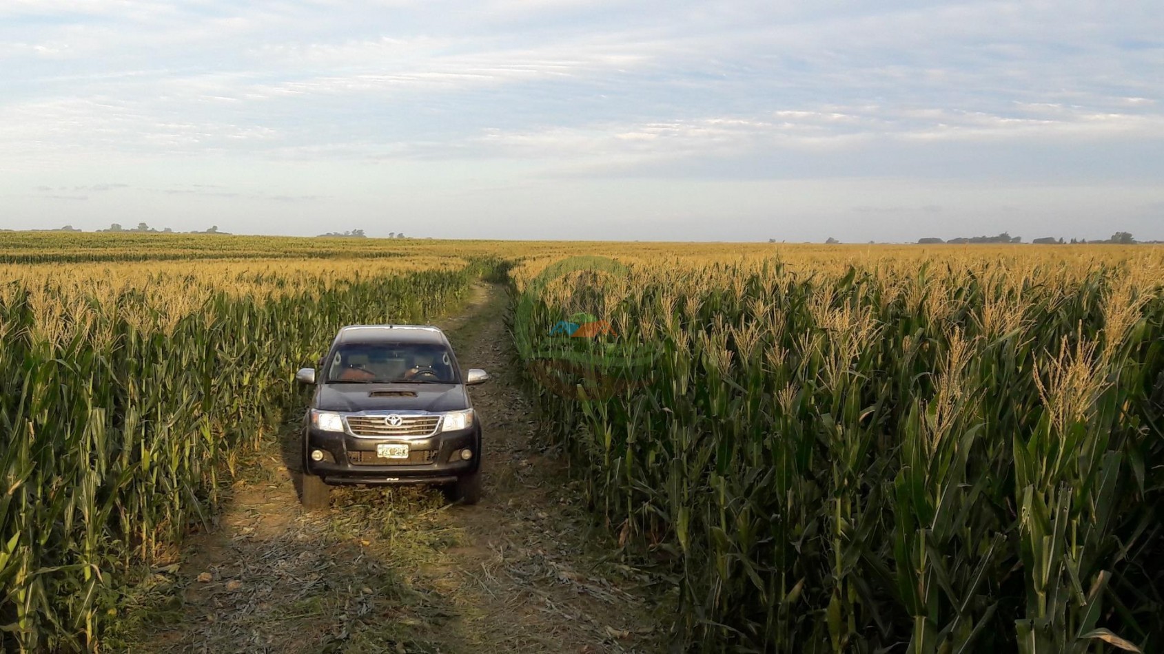 575 Ha Agricolas - Victoria - Entre Rios