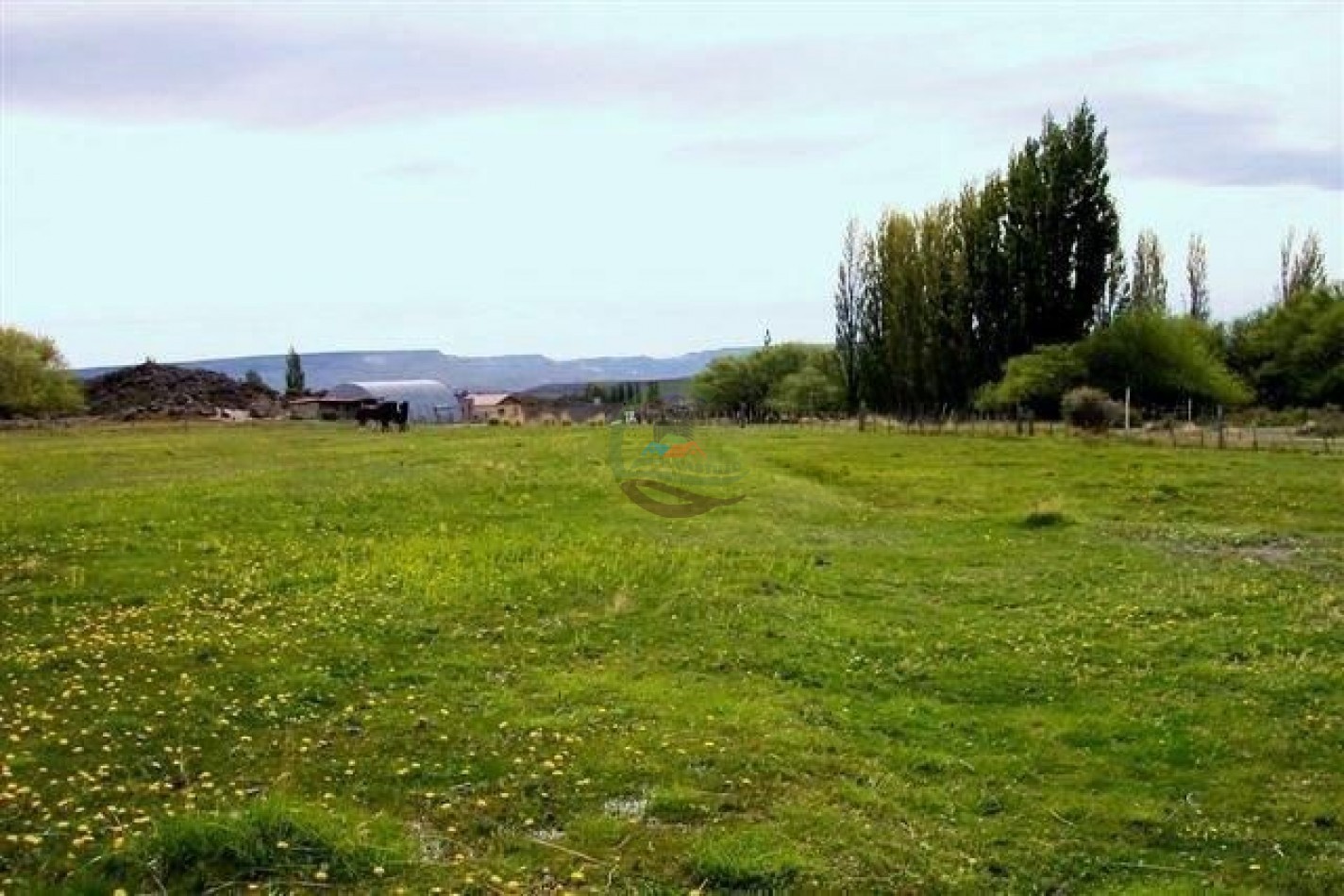 93000 ha Ganaderas - Pasos de los Indios - Chubut