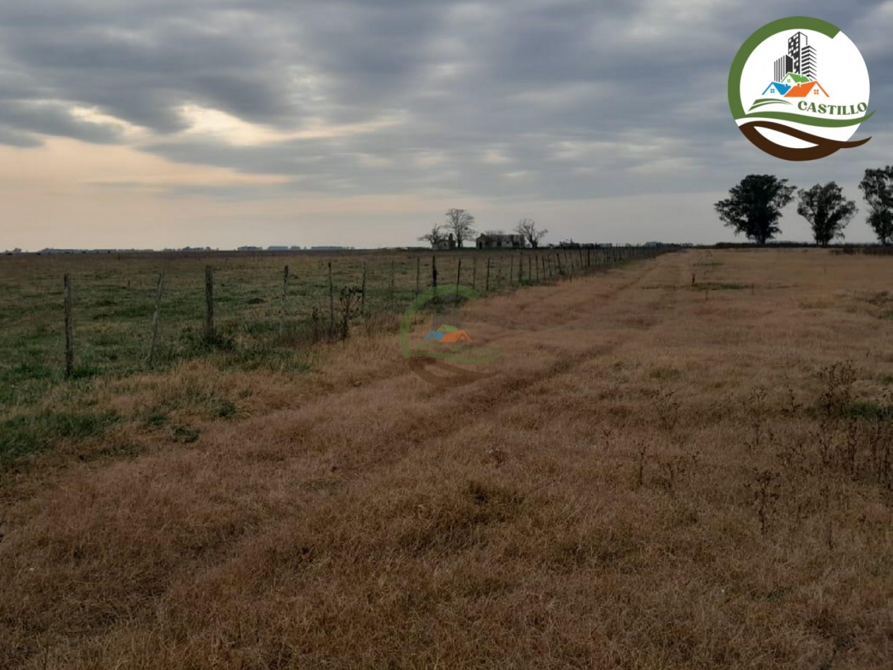 1025 ha mixta - saladillo