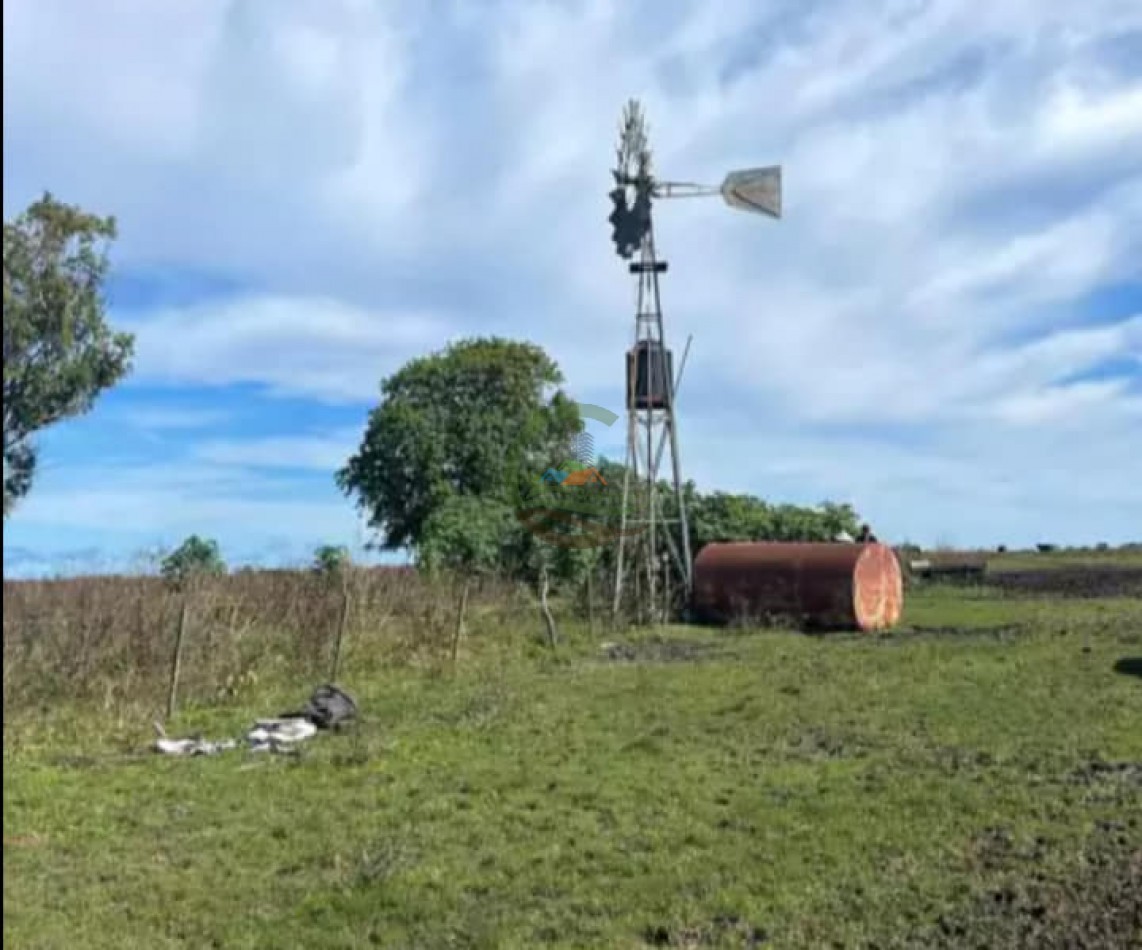 550 Ha Mixto - Concordia - Entre Rios