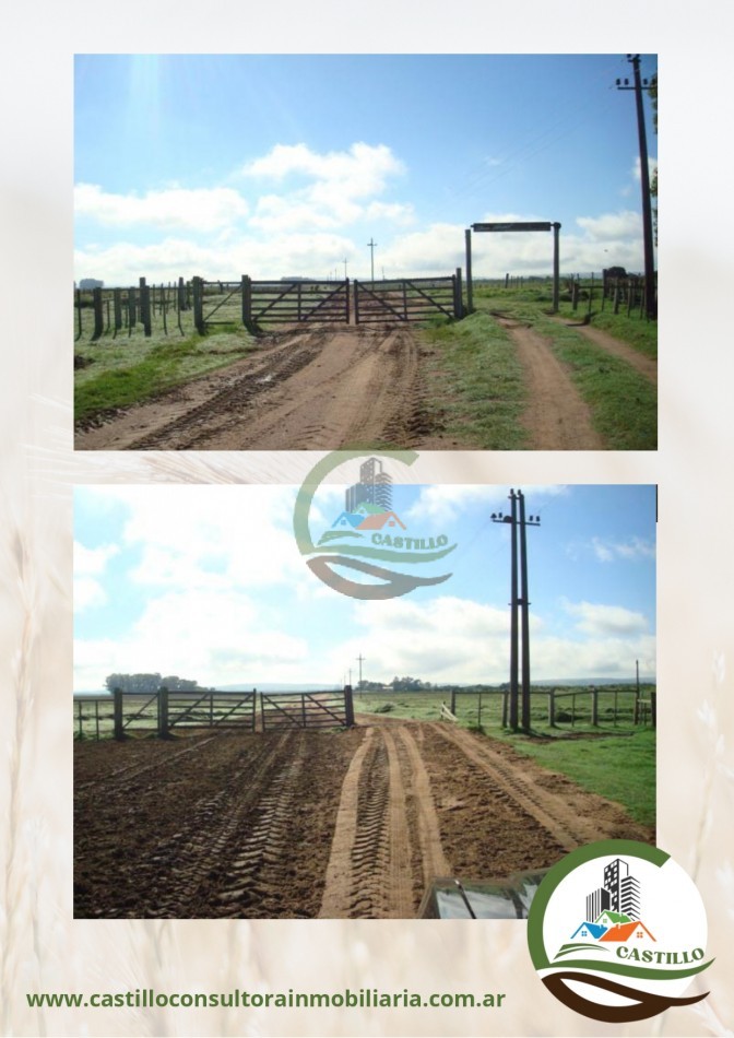 2109 ha mixtas - uruguay