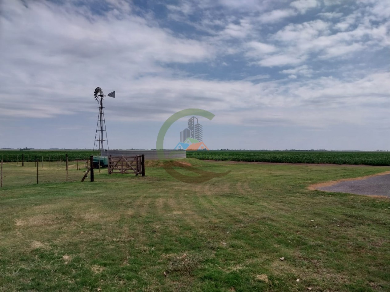 515 ha MIxtas - Pergamino