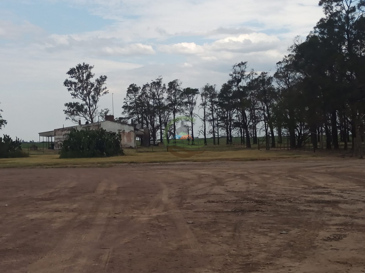 810 ha Agricolas - Fortin Inca - Santiago del Estero