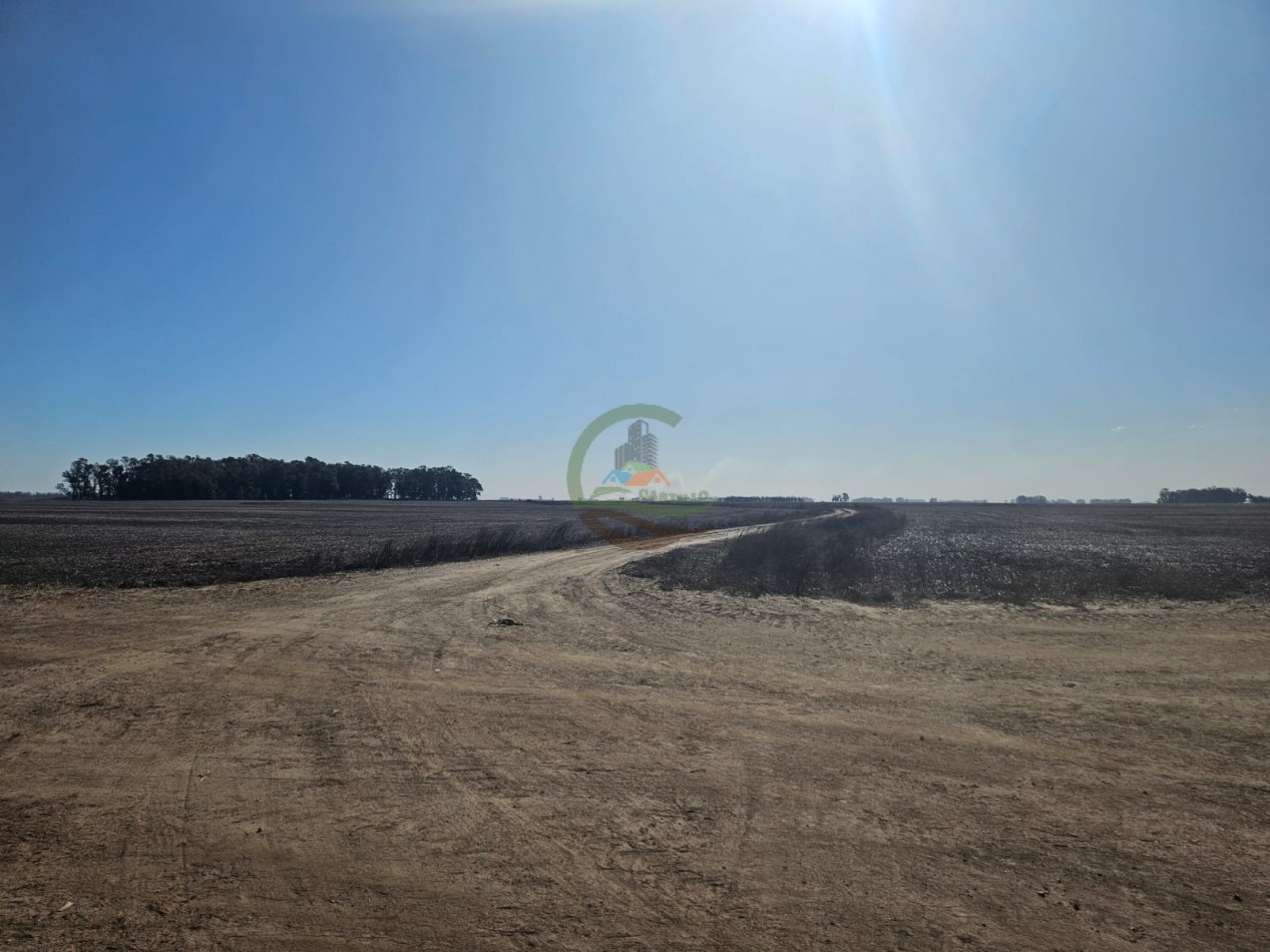 797 ha Agricolas - Bolivar