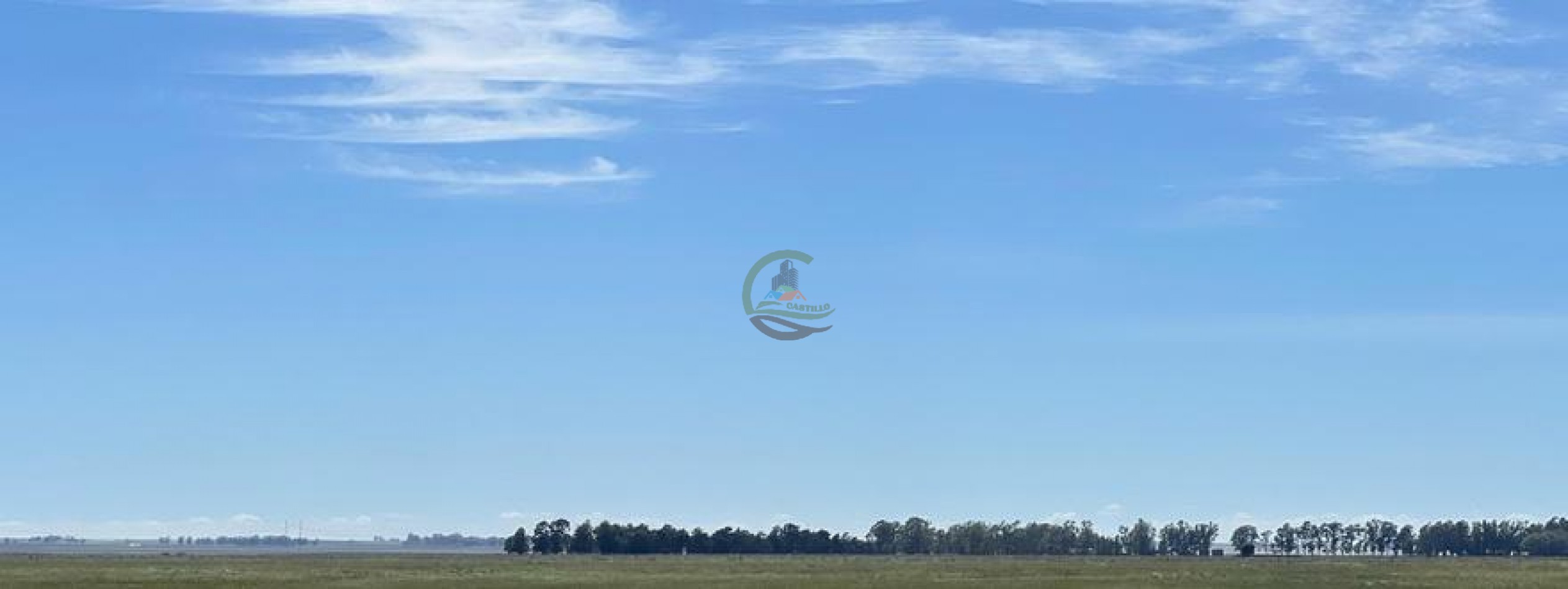 320 Ha Mixtos - Tres Arroyos