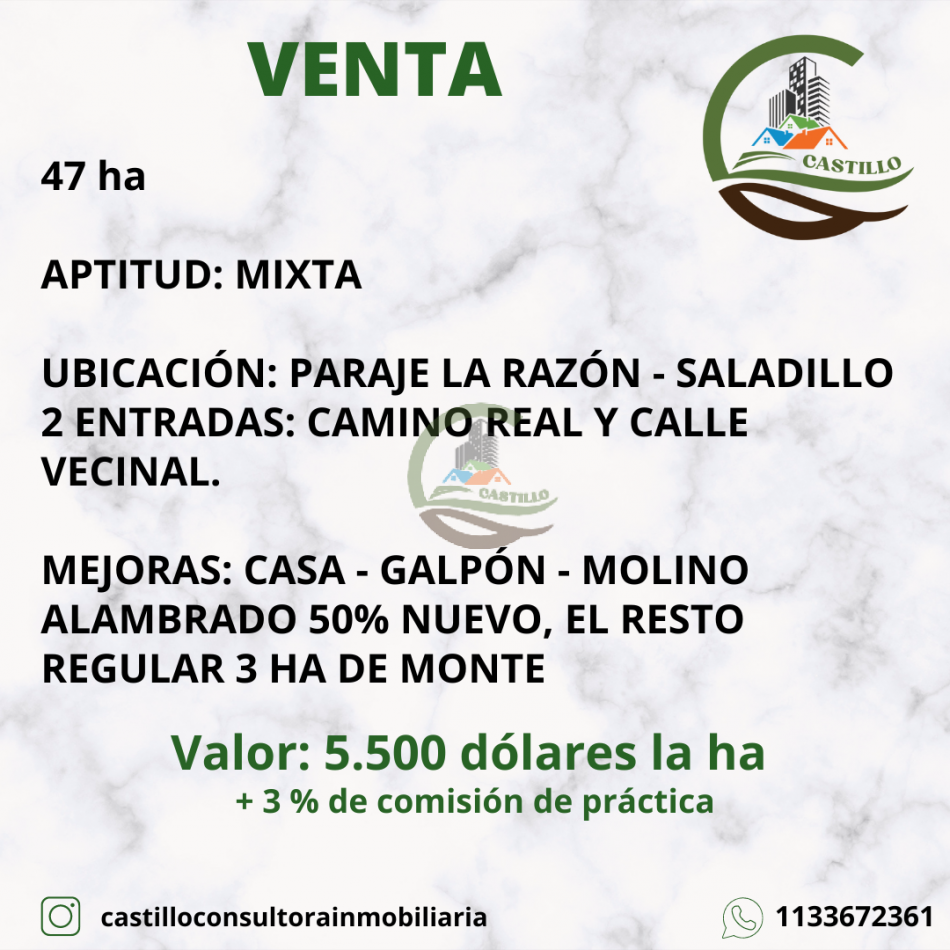 47 ha MIxta - Saladillo