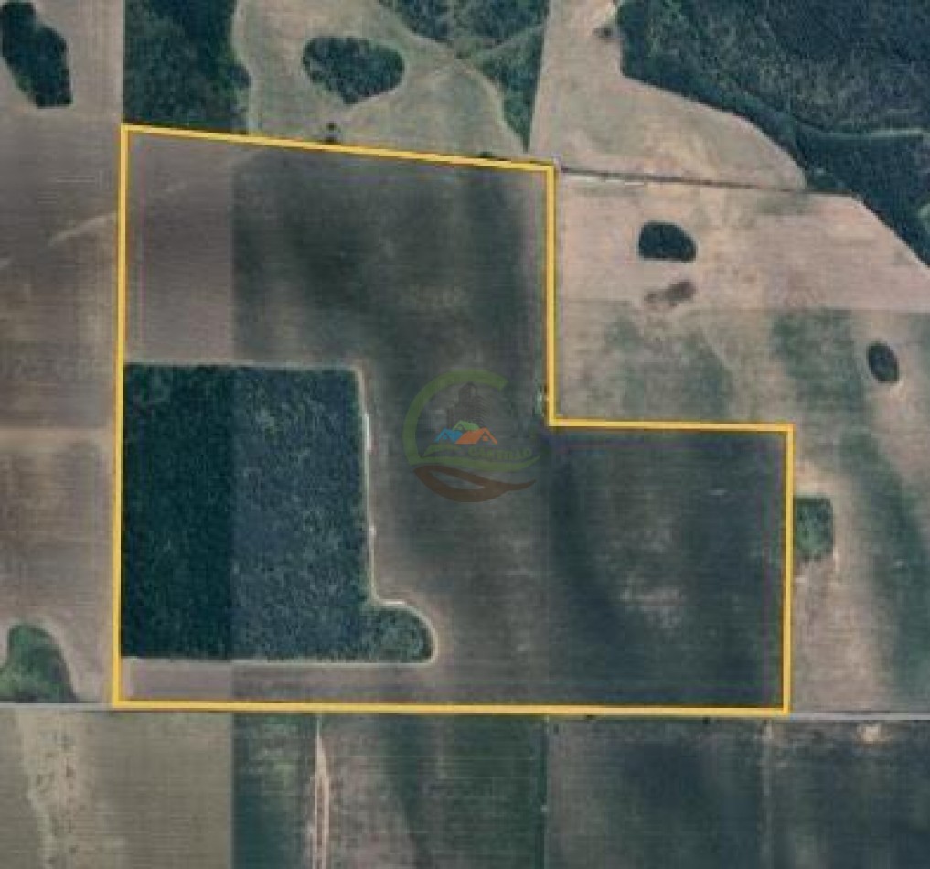 120 Ha Agricolas - Chajan - Rio Cuarto