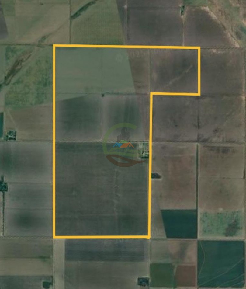 390 Ha Agricolas - Marcos Juarez - Cordoba 