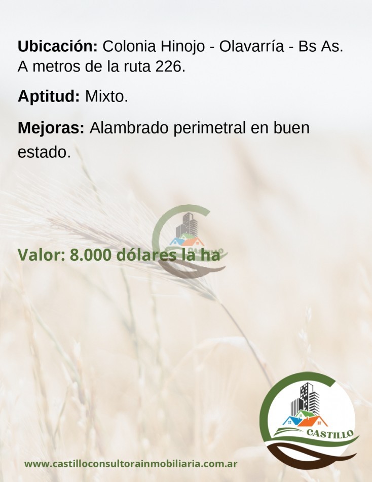 37 ha mixto - olavarria