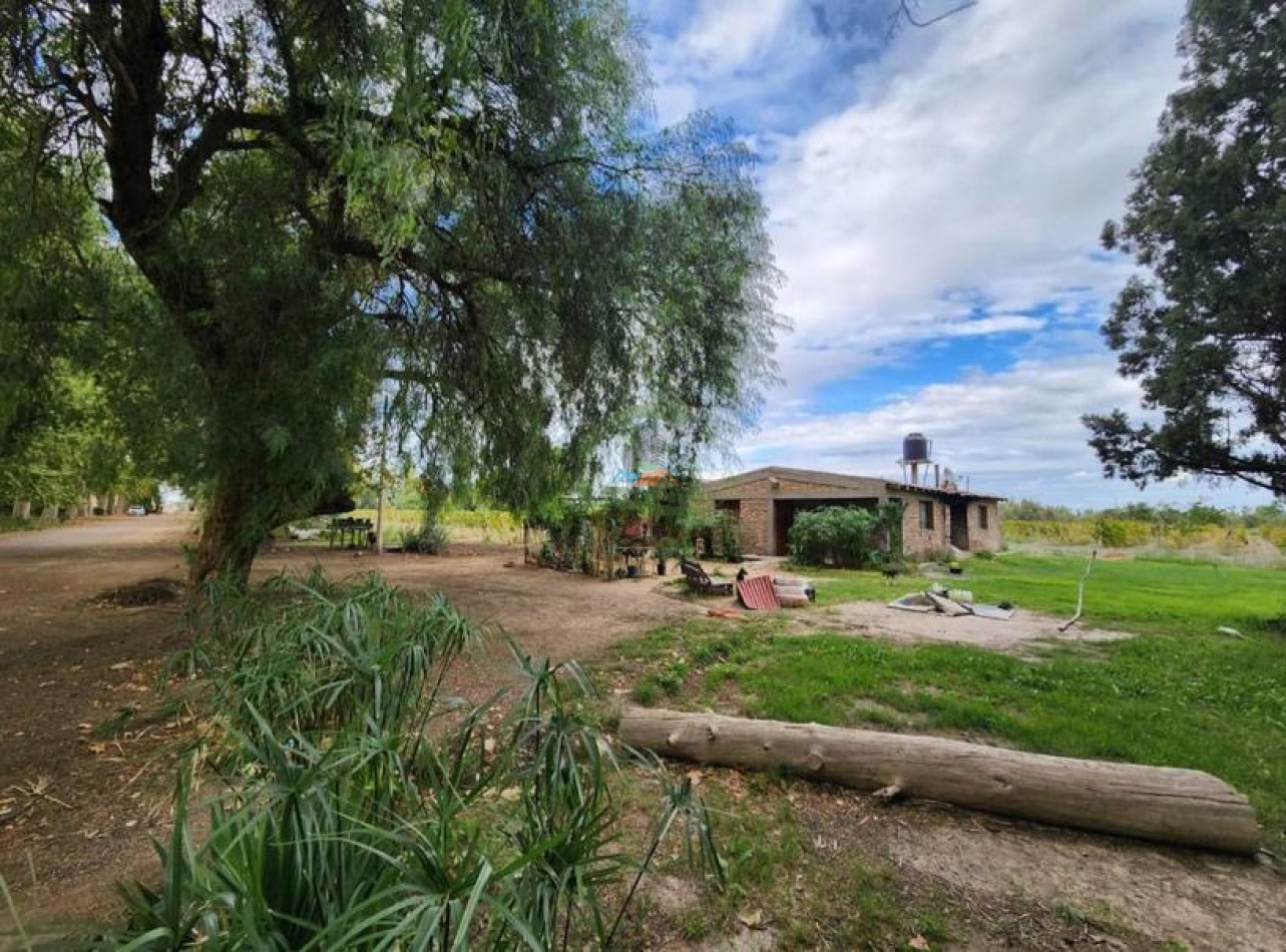 80 Ha Agricolas - San Martin - Mendoza