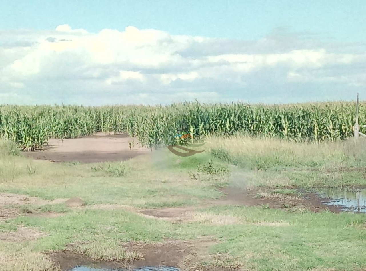 1320 ha Mixtas - Laboulaye
