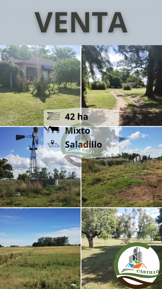 42 ha mixtas - saladillo