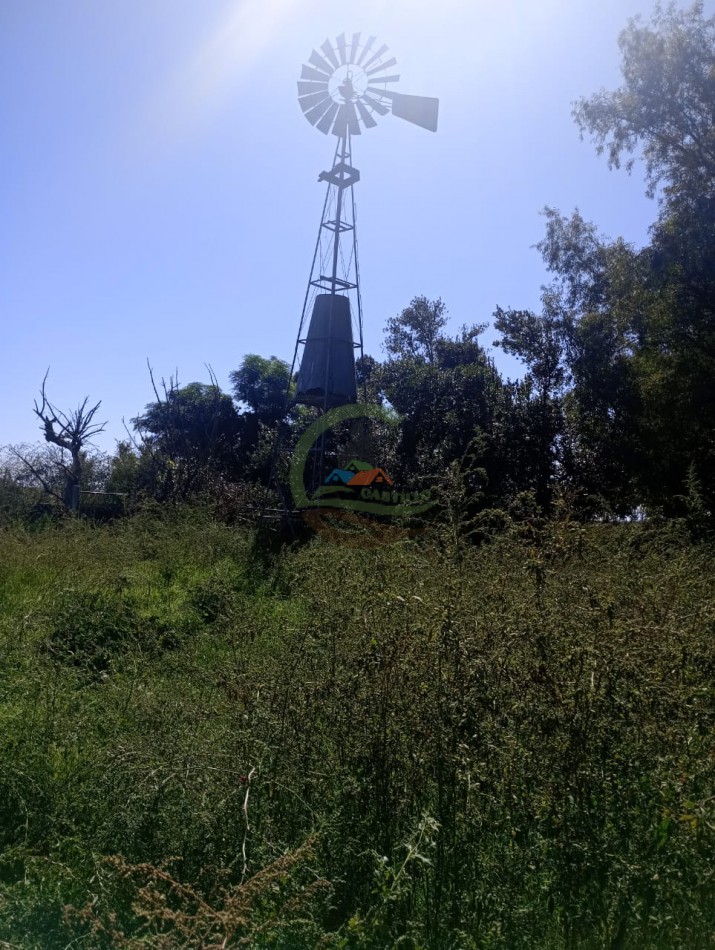 265 HA Agricolas - Saladillo