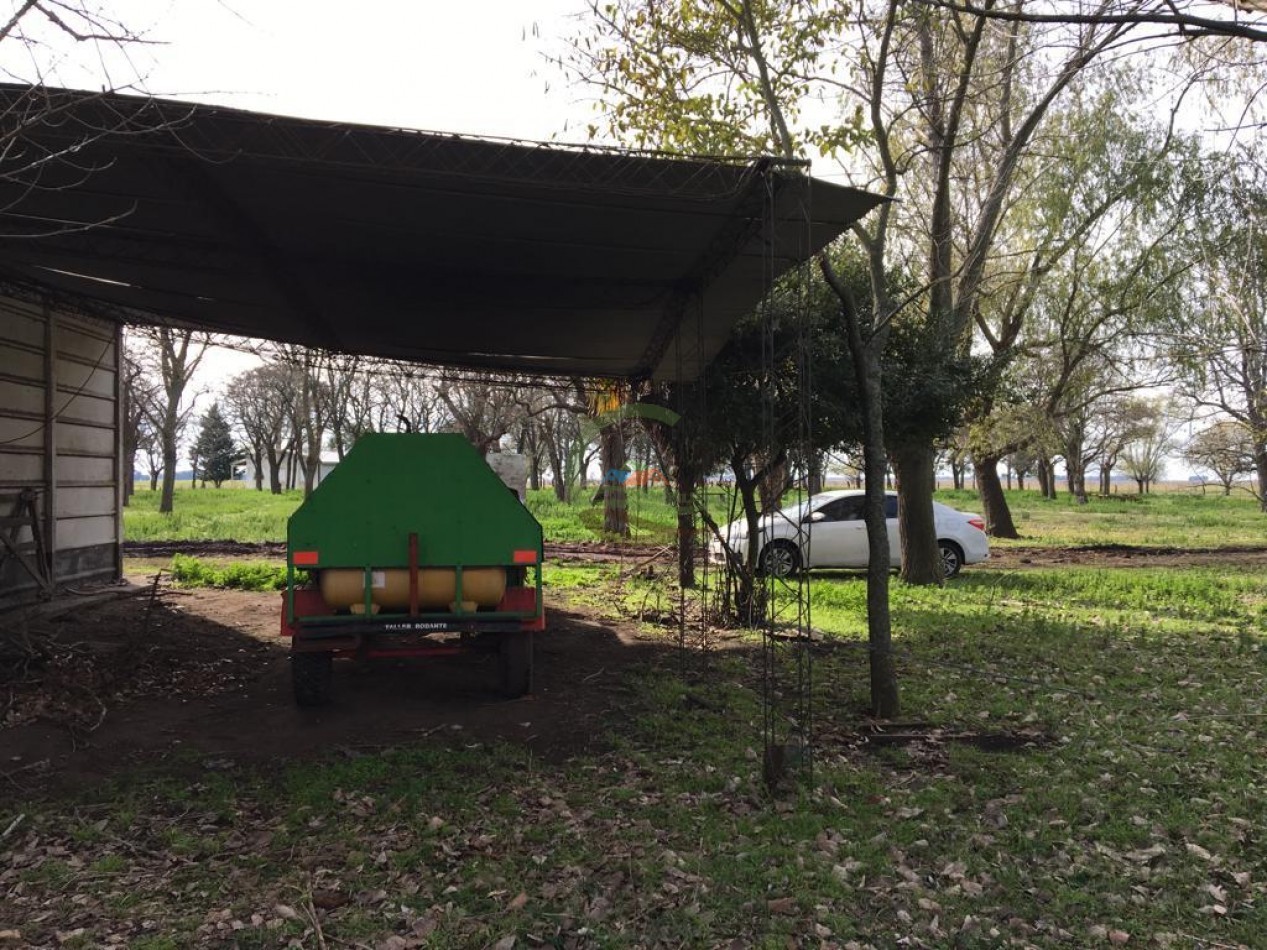 380 ha Mixtas - Bolivar